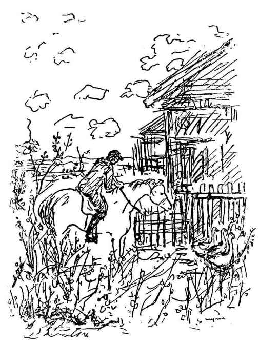 《包法利夫人》插圖