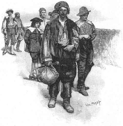 插圖