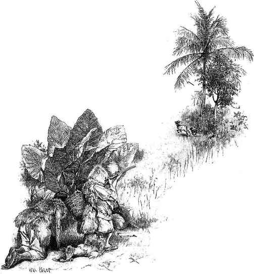 插圖