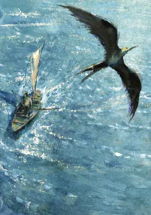 《老人與海》插圖