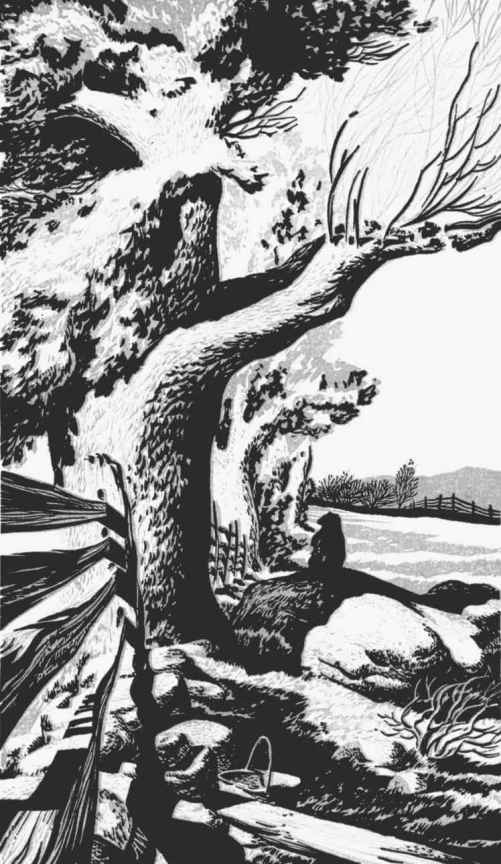《瓦爾登湖》插圖