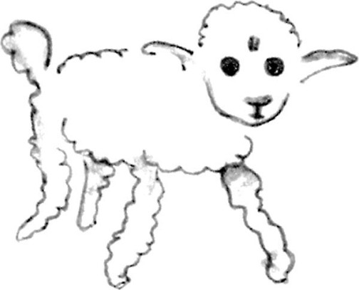 《小王子》插圖