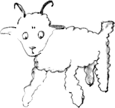 《小王子》插圖