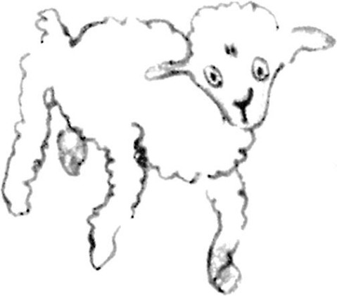 《小王子》插圖