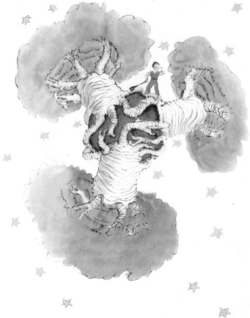《小王子》插圖