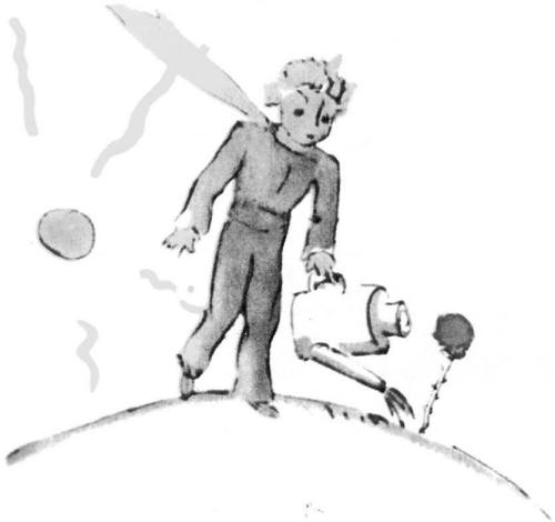 《小王子》插圖