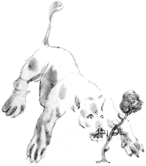 《小王子》插圖
