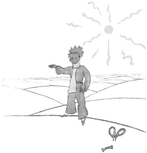《小王子》插圖