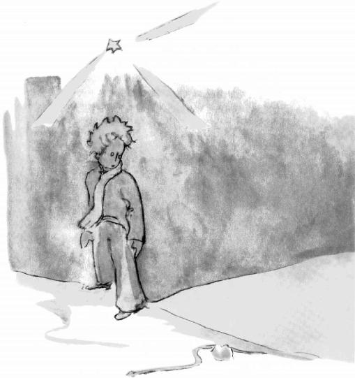 《小王子》插圖