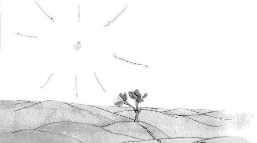 《小王子》插圖