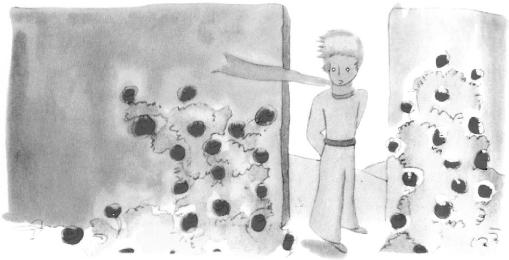 《小王子》插圖